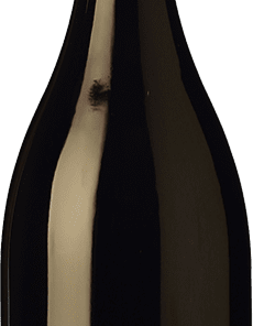 Vinícola del Priorat Ònix Evolució Priorat Crianza 75 cl.