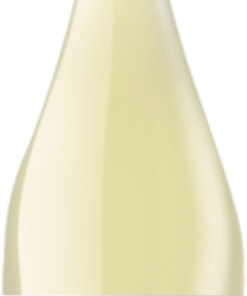 Codorníu Be Frizz Blanco 75 cl. stock limité