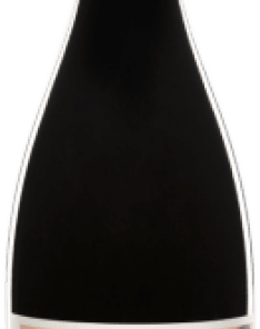 Alternative view of Vinícola del Priorat Nadiu La Simó Grenache Priorat 75 cl. promo