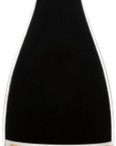 Alternative view of Vinícola del Priorat Nadiu Lo Bonet Carignan Priorat 75 cl. tendance