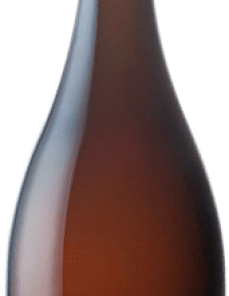 Hill Panot Gaudí Brut Nature Cava 75 cl. affaire du jour