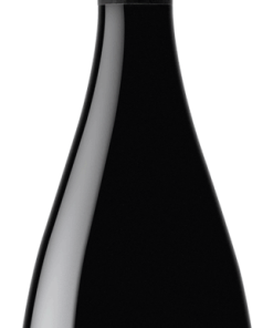 Borges Real Senhor Multi Millessime Brut Nature Sparkling Wine en ligne