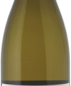 Alternative view of Saumur clos du moulin thierry germain 2016