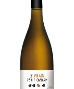 Chateau D&rsquo;aydie Le Vilain Petit Canard vente en ligne