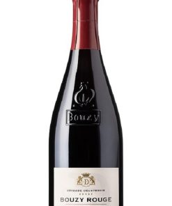 Alternative view of Champagne Delavenne Bouzy Côteaux Champenois Rouge – 2019